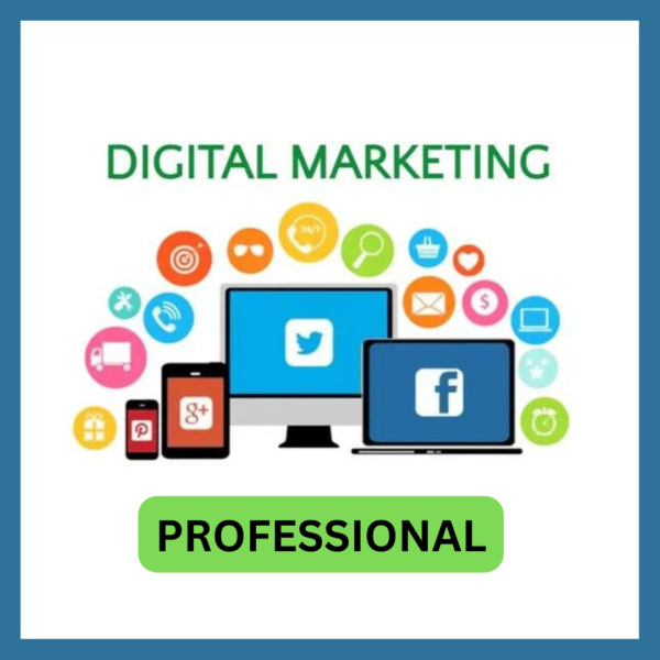Digital Marketing Professional Certification