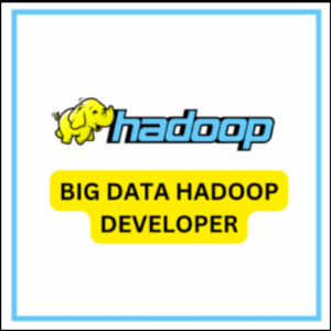 BIG DATA HADOOP DEVELOPER